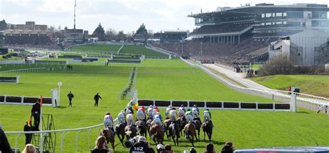 cheltenham festival betting|Preview Night – RideHigh.